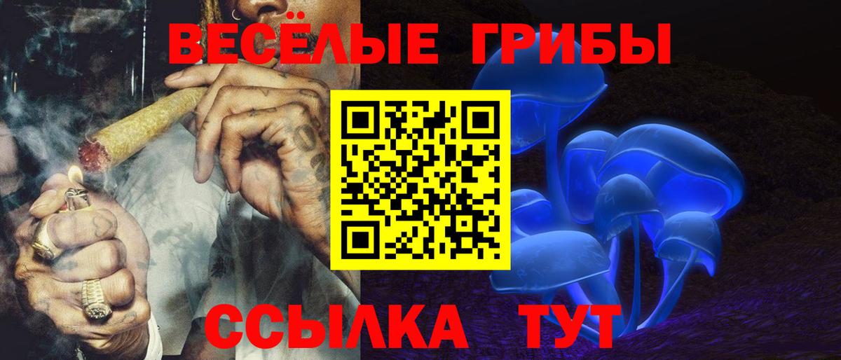 Галлюциногенные грибы мицелий  Вход с VPN  Россия 